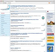 www.ljrsh.de